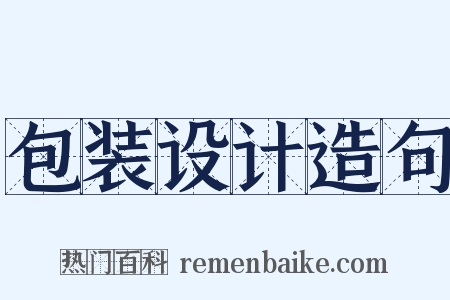 包装设计造句是什么意思的图片